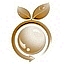 CareSocial Certified GOLD Partner CareSocial Certified GOLD Partner